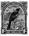 Historical NZ Stamp Print - Tui