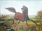 Neigh of an Iron Horse by A Tapy