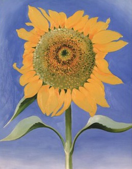 New Mexico Sunflower by Georgia O'Keeffe