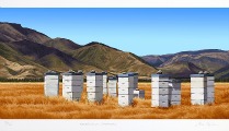 Bee Boxes Omarama by Alec Tayler