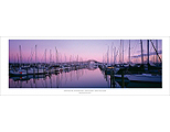Westhaven Splendour by Richard Hume