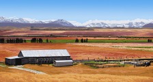 Southern Land - Pukaki by Alec Tayler