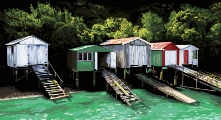 Boatsheds at French Farm Bay by Alec Tayler