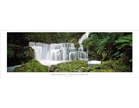 Lower McLean Falls Catlins Forest by Richard Hume