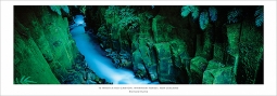 Te Whati-a-noi Canyon, Whirinaki Forest by Richard Hume