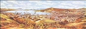 Wellington Panorama 1890 by E.A. Cockerell