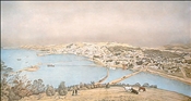Dunedin 1883 by Christopher Aubrey