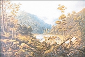 Bush Mill, Whatipu, 1881 by Charles Blomfield