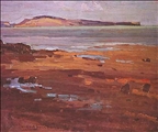 Motutapu Island by C.E. Fristrom