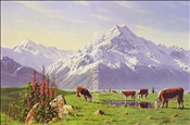 Mt Cook by Peter Morath