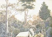 Coromandel by Alfred  Sharpe