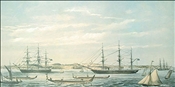 Auckland Regatta by Frederick Rice Stack
