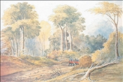 The Great South Road Auckland by J.C. Hoyte