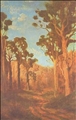 Back Country Track *sale* by Kennett Watkins