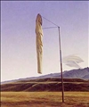 Limp Sock by Grahame Sydney