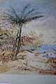 Nikau by Charles Heaphy