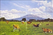 Mt Taranaki by Peter Morath