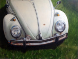 Rusty VW by Matt Guild