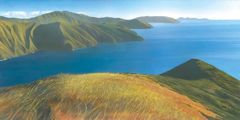 Marlborough Sounds High Summer by Rick Edmonds