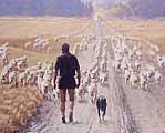 Road's End by Barry Ross Smith