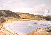 Thorndon Flat and the City of Wellington by Charles Heaphy