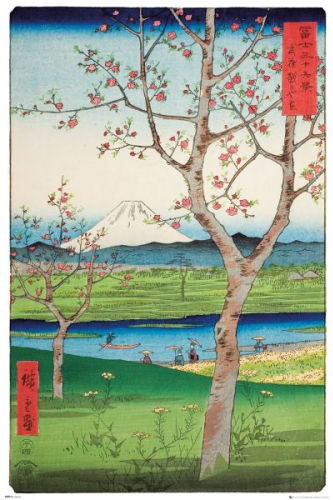 fuji spring sale