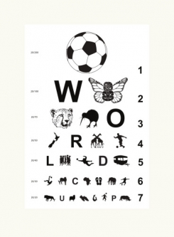 Football 2010 Eye Chart for NZ in South Africa by Brad Novak