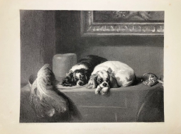 The Cavalier’s Pets by Sir Edwin Landseer