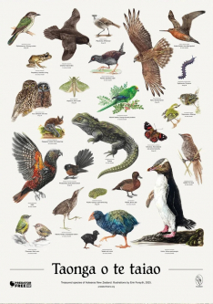 Taonga o te Taiao Poster