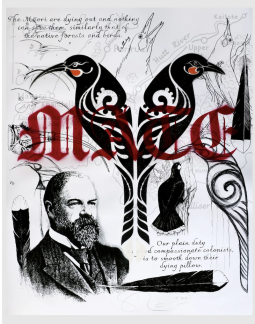 Mate O Huia by Shane Hansen