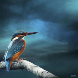 Kingy on Watch by Julian Hindson