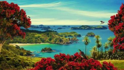 Bay of Islands Canvas Print by Julian Hindson