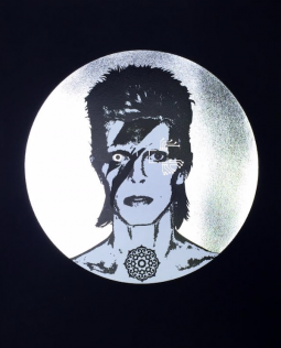 Starman 1.2 BV by Brad Novak
