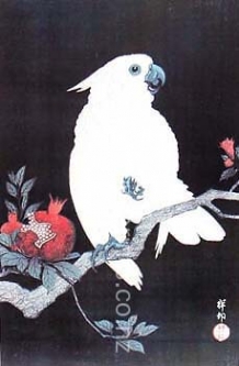 Ukiyo-e Parrot