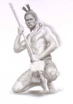 Toa (Maori Warrior) by Douglas Ferris