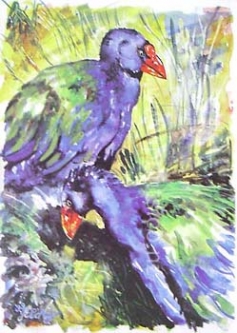 Takahe by Jane Puckey