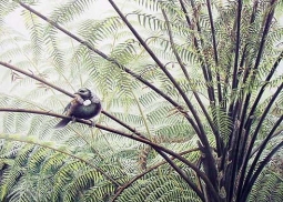 "The Tui" Print by Joseph Pang