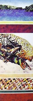 A Full Kete by Jane Puckey