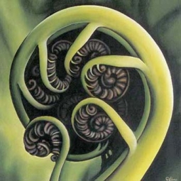 Koru by Diana Adams