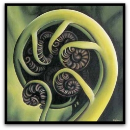 Koru Framed Print by Diana Adams