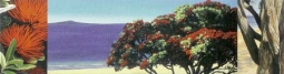 Pohutukawa Summer by Alison Gilmour