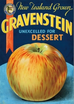 NZ Grown Apples Vintage Advertising Poster