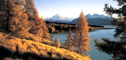 Autumn - Lake Pukaki & Aoraki/Mt Cook by Andris Apse
