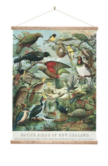Native Birds of NZ Canvas Art Print - Ready to Hang
