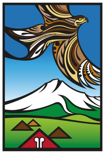 Taranaki Karearea by Shane Hansen