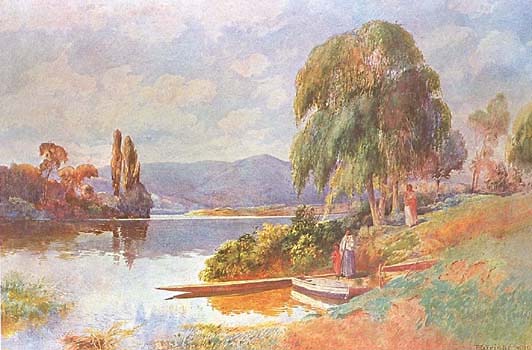Waipa & Waikato Rivers by Frank Wright