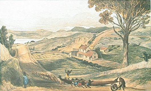 Hawkestone St Hawkestone St Wellington by Samuel Brees: New Zealand Fine Prints