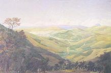 Dunedin From Upper Junction by George O'Brien