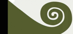 New Zealand Koru Flag by Friedrich Hundertwasser